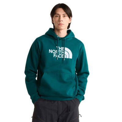 THE NORTH FACE M ESS DP REG HOODIE
