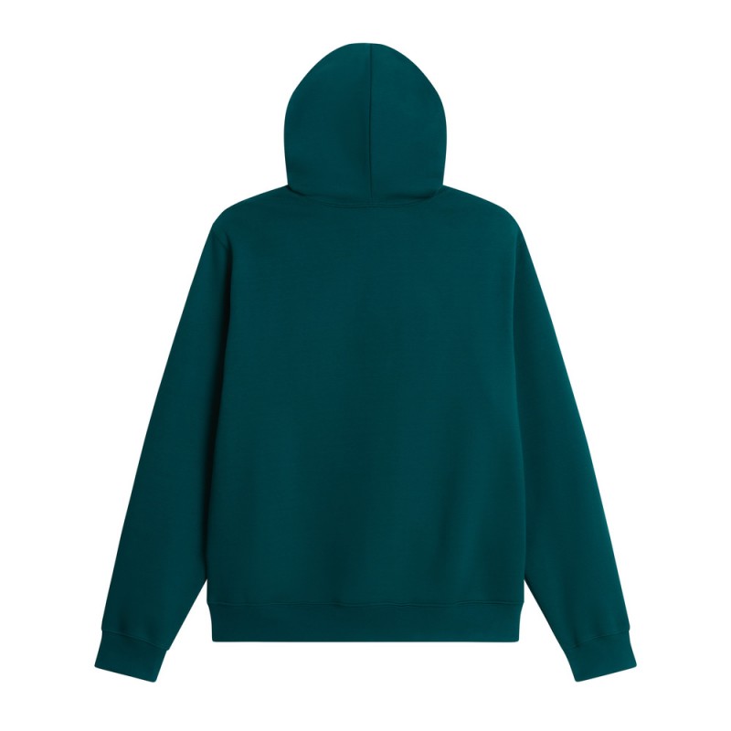 THE NORTH FACE M ESS DP REG HOODIE