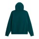 THE NORTH FACE M ESS DP REG HOODIE