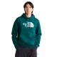 THE NORTH FACE M ESS DP REG HOODIE