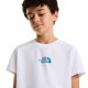 THE NORTH FACE B LIQUID LOGO REG SS TEE