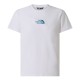 THE NORTH FACE B LIQUID LOGO REG SS TEE