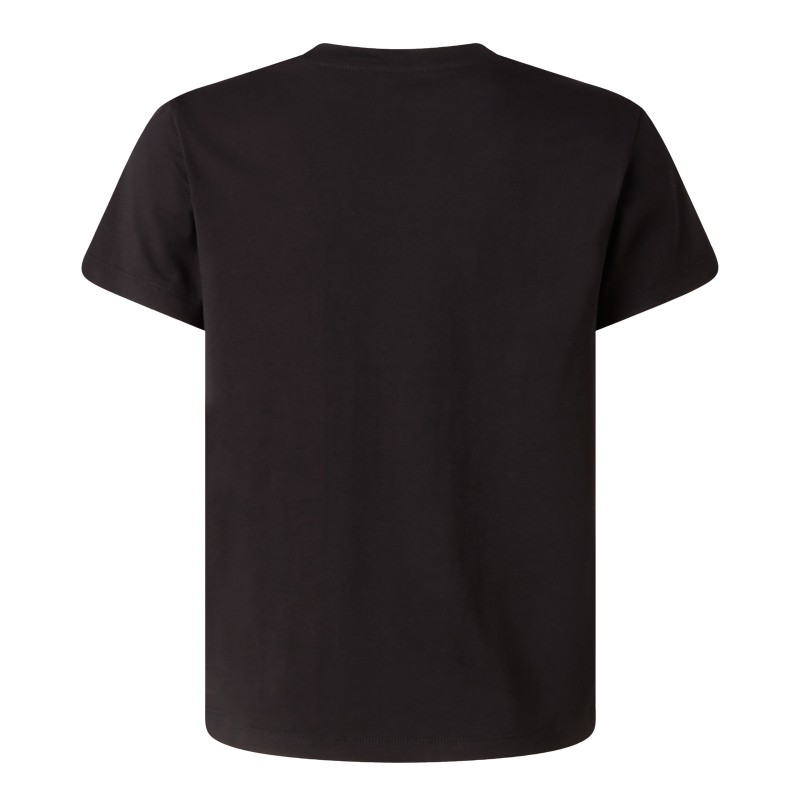 THE NORTH FACE B LIQUID LOGO REG SS TEE