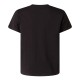 THE NORTH FACE B LIQUID LOGO REG SS TEE