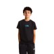 THE NORTH FACE B LIQUID LOGO REG SS TEE