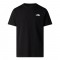THE NORTH FACE M MNT SKTCH RG SS TEE
