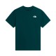 THE NORTH FACE M MNT SKTCH RG SS TEE