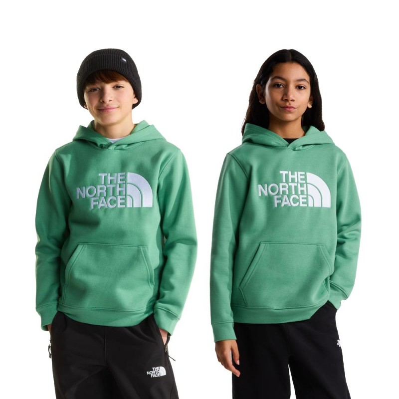 THE NORTH FACE TEEN TNF ESSENTIAL HOODIE ΠΑΙΔΙΚΟ ΦΟΥΤΕΡ ΚΟΥΚΟΥΛΑ