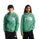 THE NORTH FACE TEEN TNF ESSENTIAL HOODIE ΠΑΙΔΙΚΟ ΦΟΥΤΕΡ ΚΟΥΚΟΥΛΑ