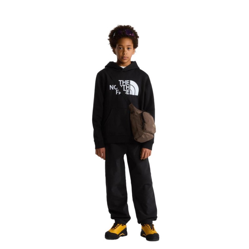 THE NORTH FACE TEEN TNF ESSENTIAL HDY