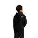 THE NORTH FACE TEEN TNF ESSENTIAL HDY
