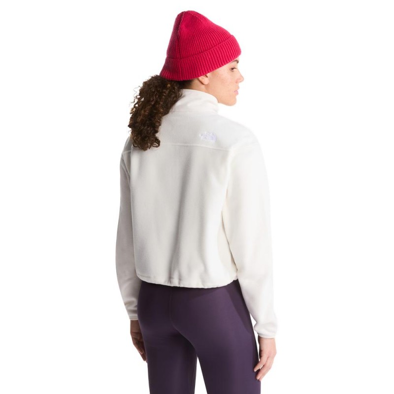 THE NORTH FACE W NOVELTY LOGO GLACIER ΓΥΝΑΙΚΕΙΟ FLEECE