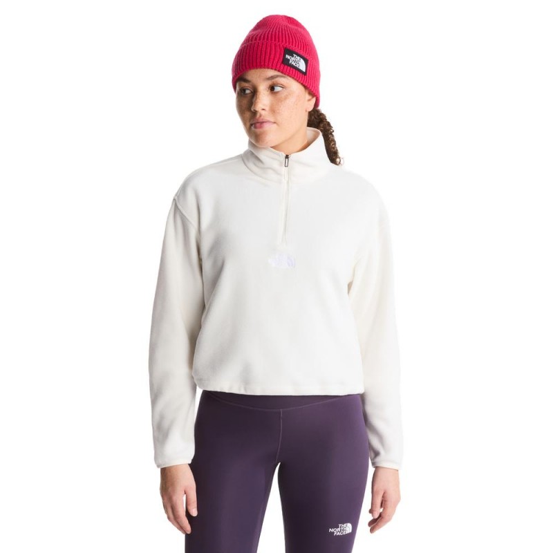 THE NORTH FACE W NOVELTY LOGO GLACIER ΓΥΝΑΙΚΕΙΟ FLEECE
