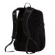 THE NORTH FACE BOREALIS CLSSC PATCH