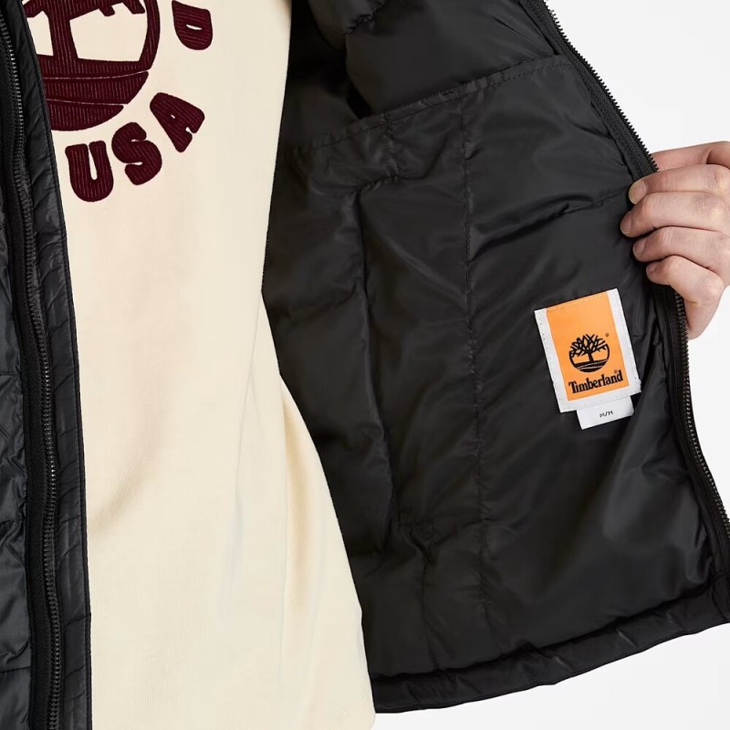 TIMBERLAND DURABLE WATER REPELLENT
